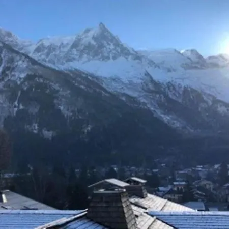 Nice Cosy Apt With Garden In Mont Blanc Apartment