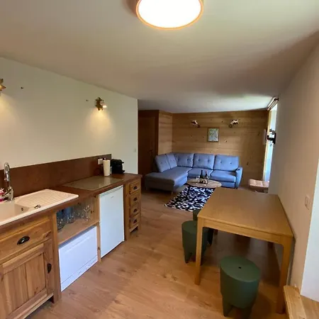 Nice Cosy Apt With Garden In Mont Blanc Chamonix